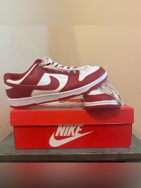 Nike Other - Nike Dunk Low Retro (13 M)